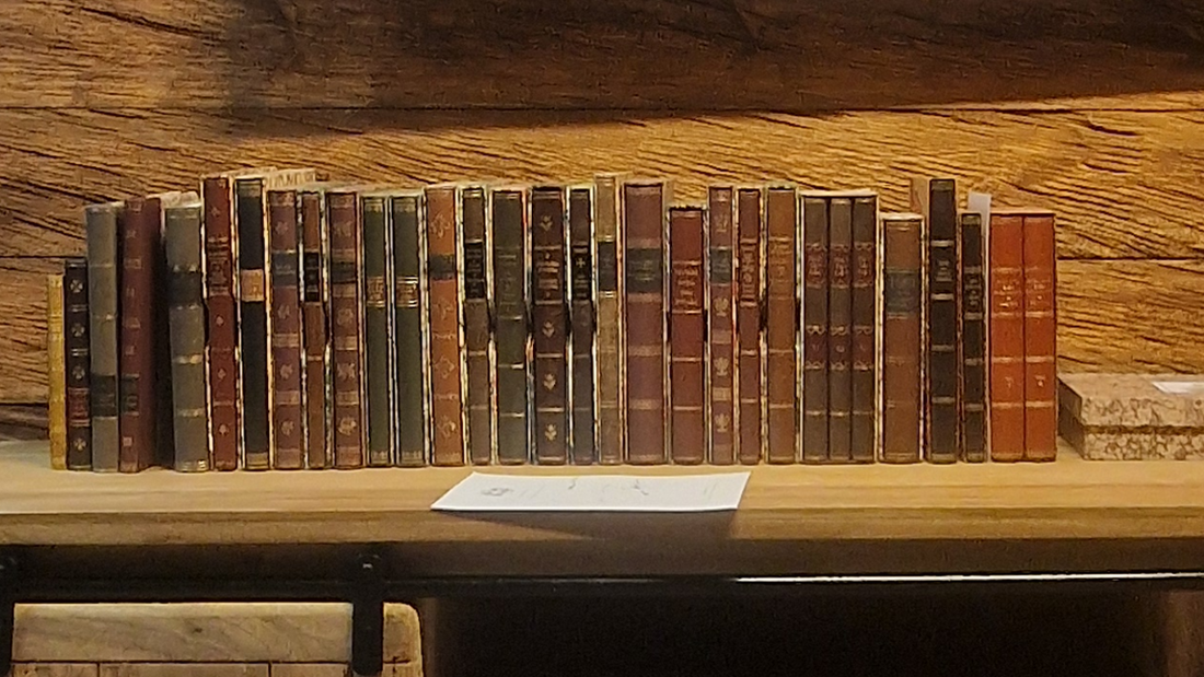 biblioteka ręcznie oprawiane książki