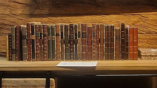 biblioteka ręcznie oprawiane książki
