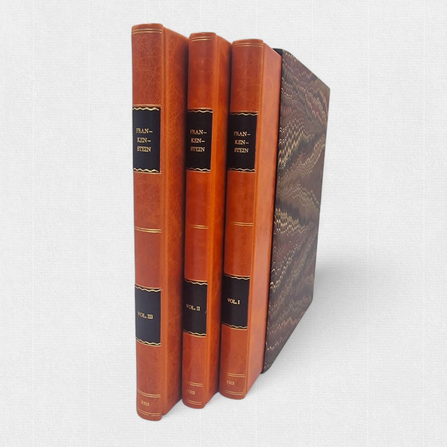 Frankenstein; or The Modern Prometheus by Mary Shelley