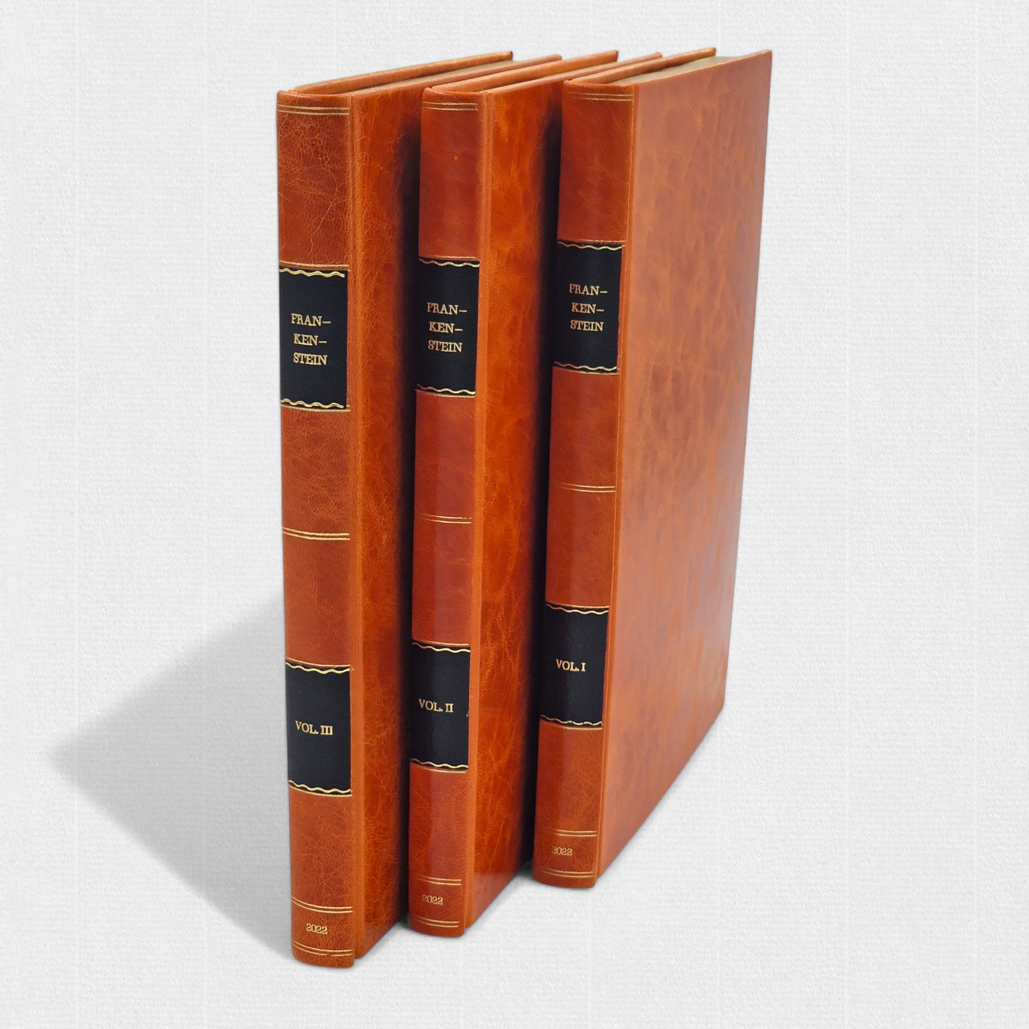 Frankenstein; or The Modern Prometheus by Mary Shelley