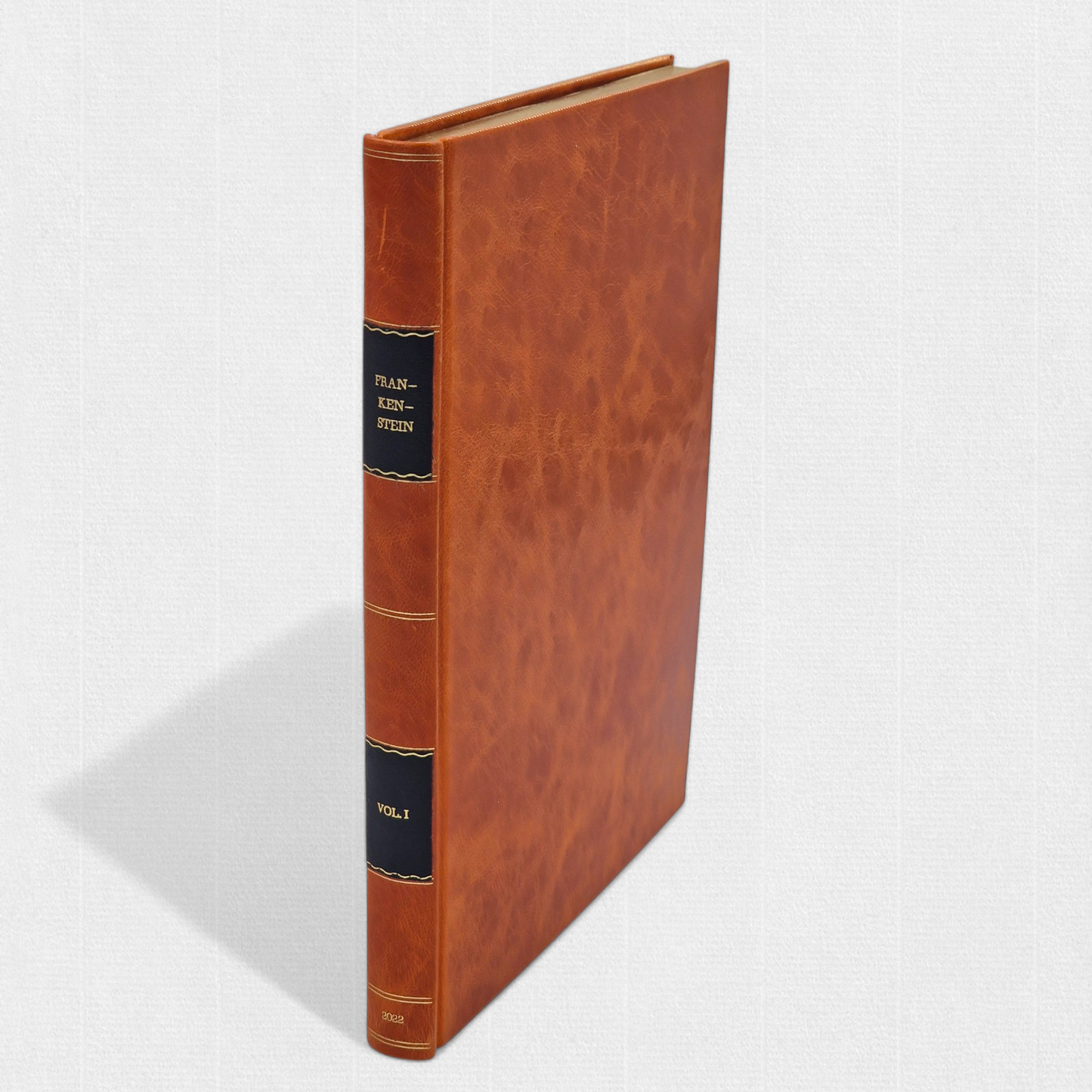 Frankenstein; or The Modern Prometheus by Mary Shelley